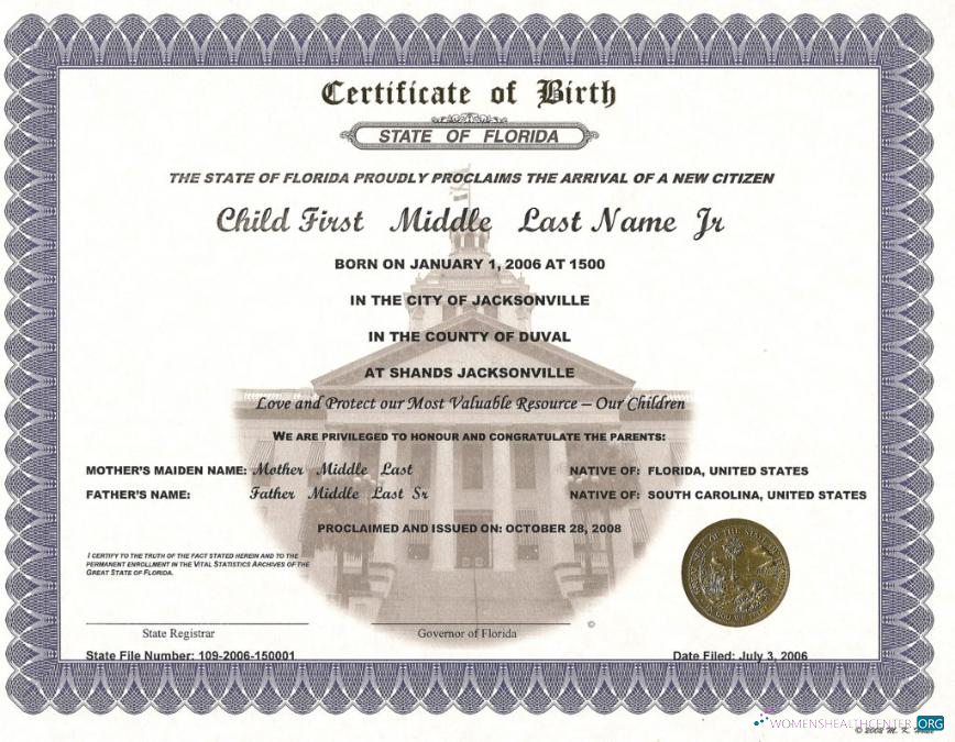Download United States Registrar of Florida birth certificate Photoshop template